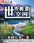世外桃源空间封面