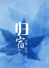 归宿封面