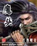 魔头封面