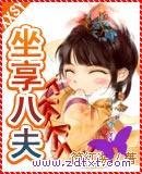 坐享八夫封面