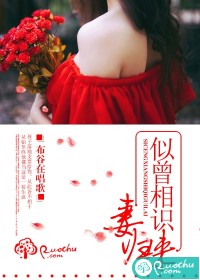 似曾相识妻归来封面