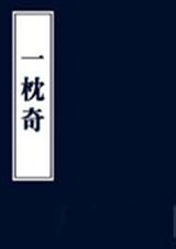一枕奇封面