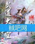 武道大破空封面