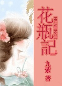 花瓶记封面