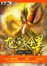 龙战千里封面