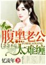 念念不忘,腹黑老公太难缠封面