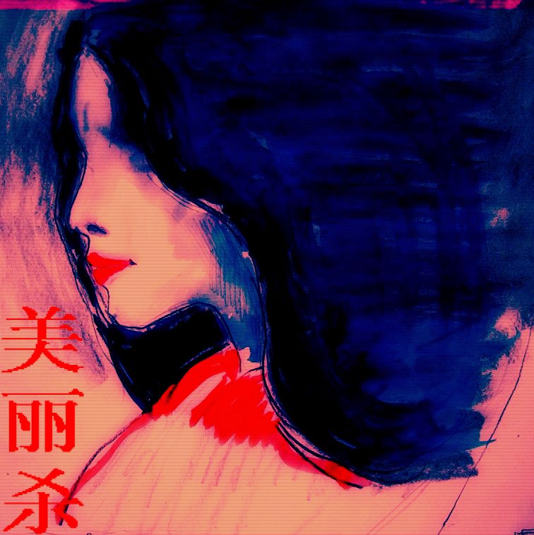 美女离奇失踪案:美丽杀封面