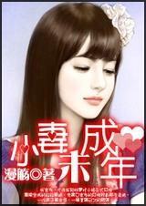 市长小妻未成年封面