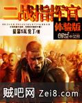 二战指挥官体验版封面