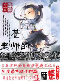 苍老师的超时空双飞之旅封面