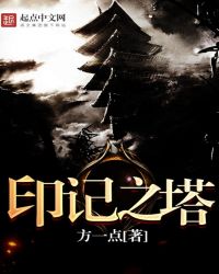 印记之塔封面