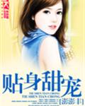 贴身甜宠封面
