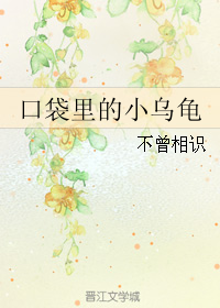 口袋里的小乌龟封面