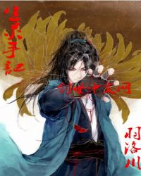 生灵手记封面