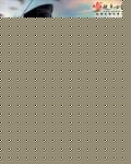 ĩ֮鹭ַ
