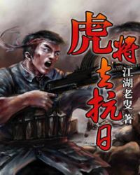 虎将去抗日封面