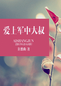 爱上军中大叔封面