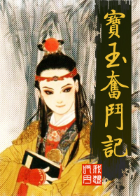 宝玉奋斗记封面