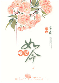 嗜妻如命封面