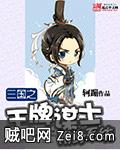 三国之王牌谋士附身系统封面
