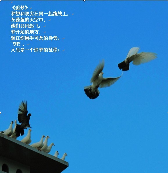 追梦封面