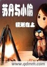 苏丹与小偷封面