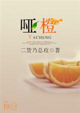 哑橙封面