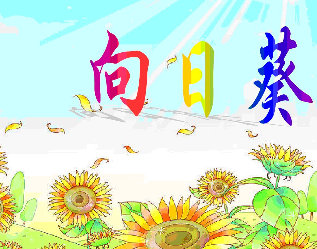 向日葵封面