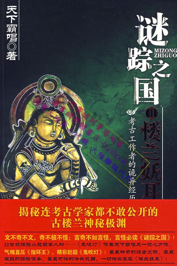 谜踪之国封面