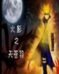 火影天苍羽封面