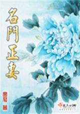 85 名门正妻 油灯封面