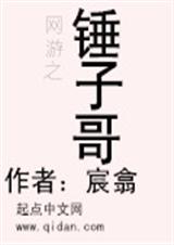网游之锤子哥封面
