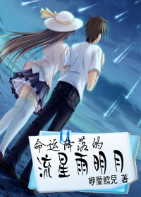 命运降落的流星雨明月封面