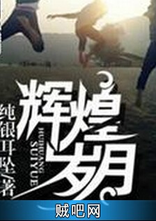 辉煌岁月封面