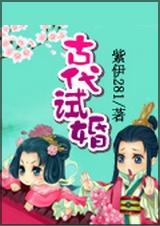 古代试婚封面