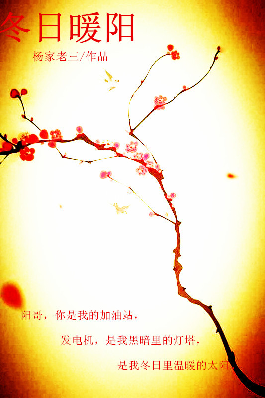 冬日暖阳封面