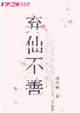 弃仙不善封面