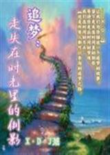 追梦:走失在时光里的封面