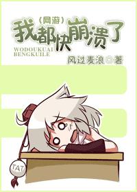 我都快崩溃了 (网游) 经典收藏版封面