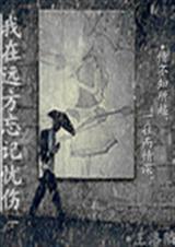 我在远方忘记忧伤封面