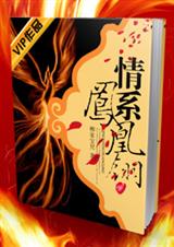 情系凤凰翎封面