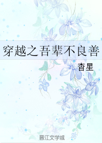 穿越之吾辈不良善封面
