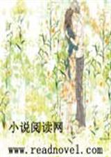 复仇三公主的薰衣草爱封面