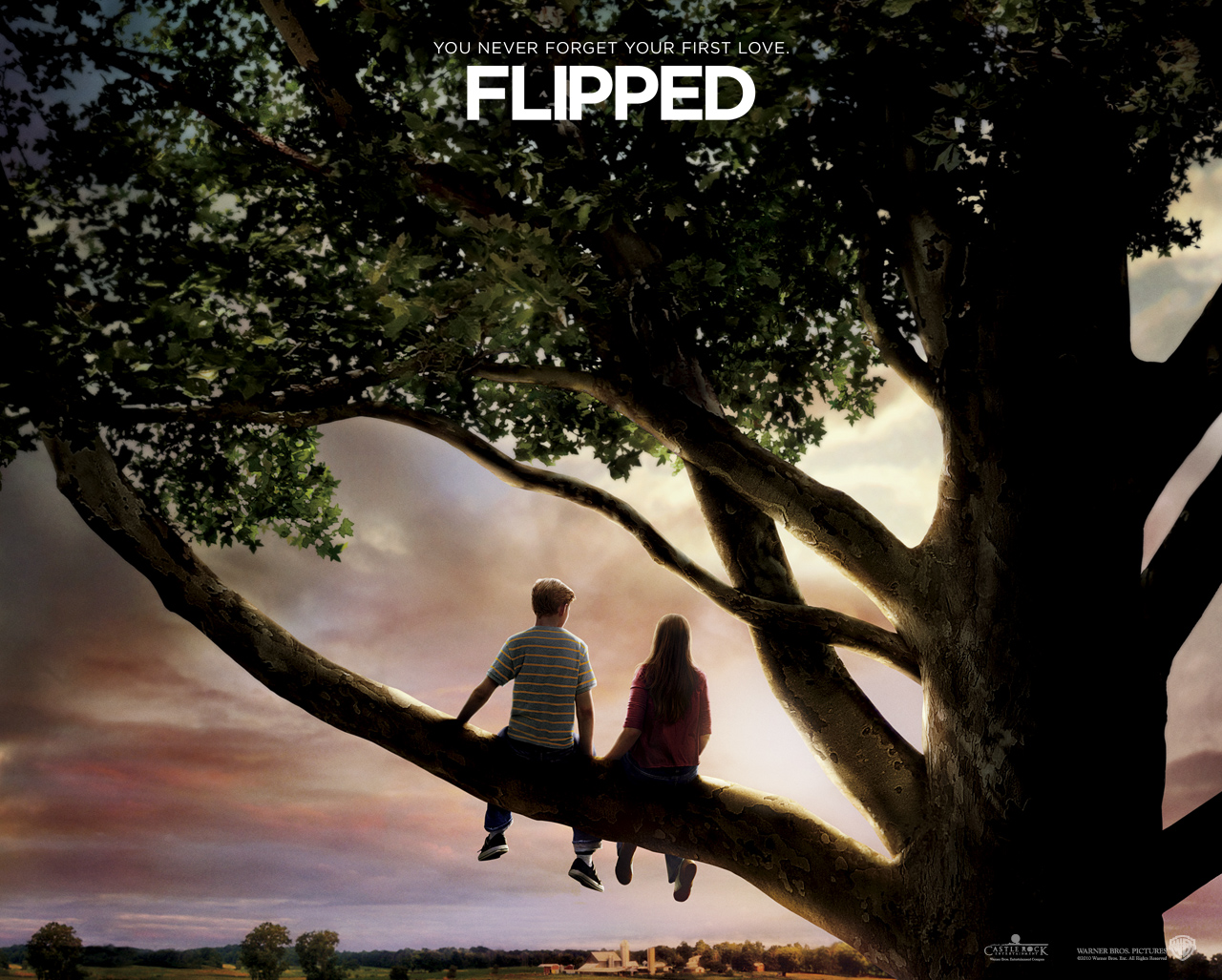 flipped(Ӣ�İ�)����