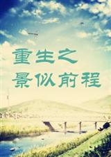 重生之景似前程封面