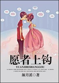 愿者上钩封面