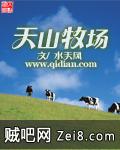 天山牧场封面