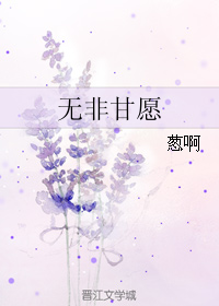 无非甘愿封面