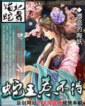 媚妃蛇舞封面