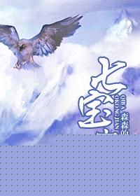 耽美 七宝空间封面